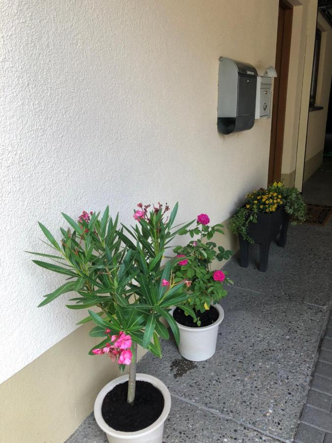 Ferienwohnung Am Gaessle Ettenheim Εξωτερικό φωτογραφία