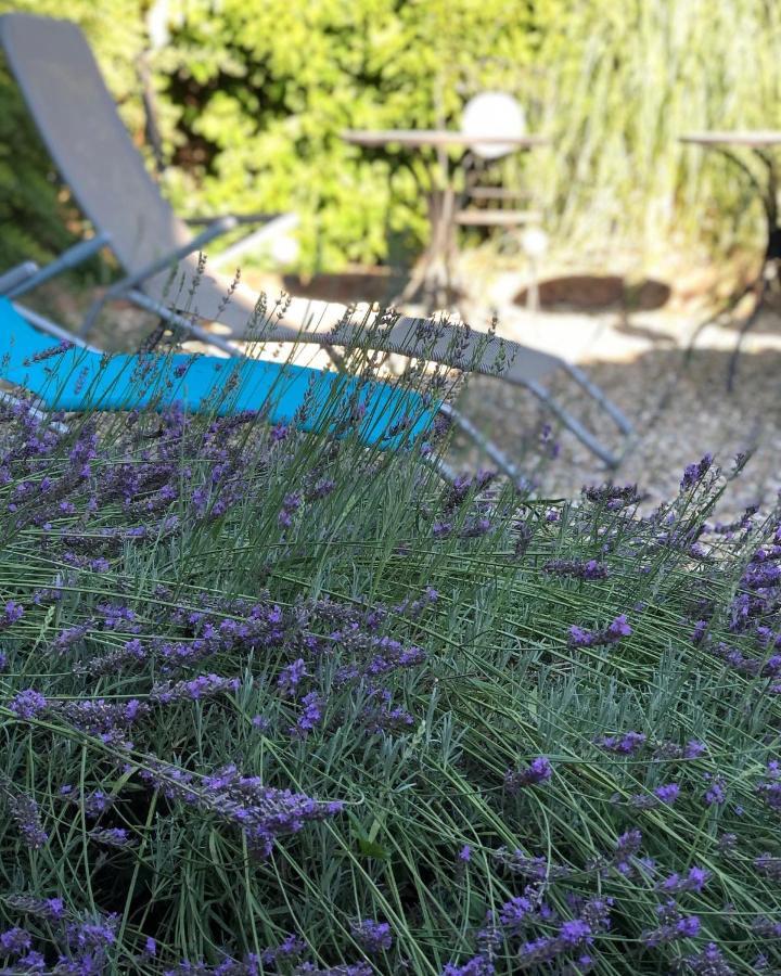 Ferienwohnung Am Gaessle Ettenheim Εξωτερικό φωτογραφία