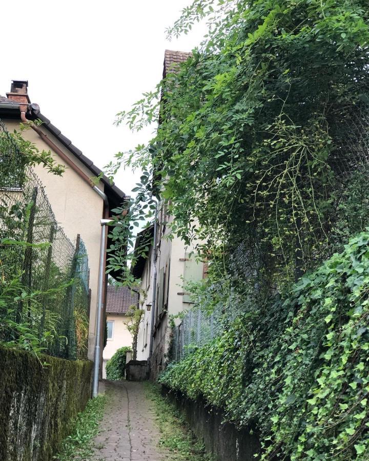 Ferienwohnung Am Gaessle Ettenheim Εξωτερικό φωτογραφία